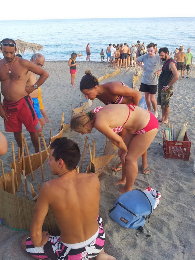  Kornjače CarettaCaretta 